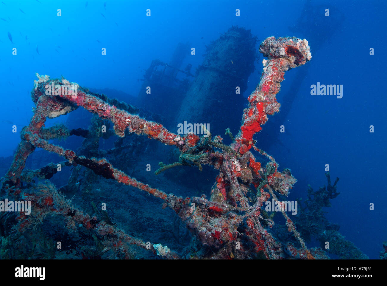 The Eagle wreck Islamorada in Florida Stock Photo 3829344 Alamy