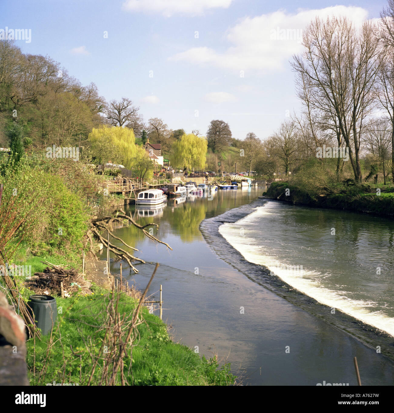 Avon River, Christchurch - Book Tickets & Tours | GetYourGuide