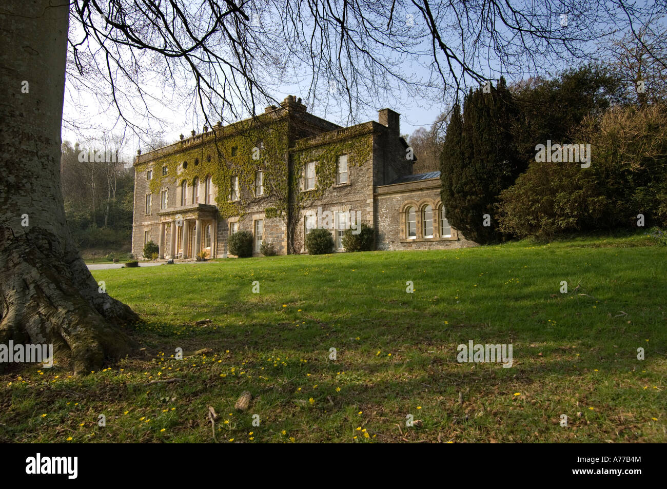 Ivy And Stone Home On Instagram | ivy and stone home on instagram ivy covered nanteos Ivy And Stone Home On Instagram | ivy and stone home on instagram ivy covered nanteos
