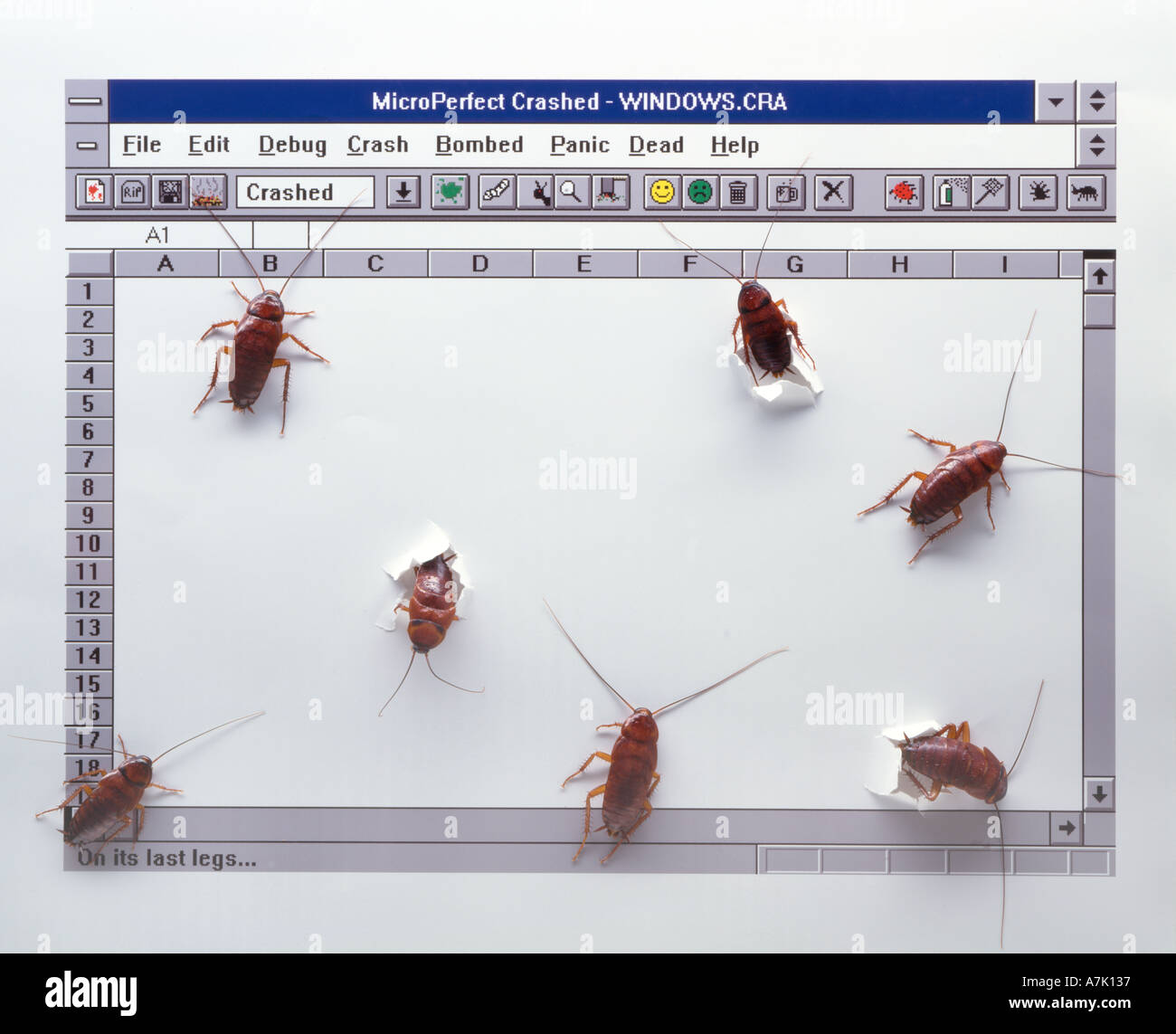 Discounts Leaders In Russian Cock Roaches Eating The Computer Screen Virus