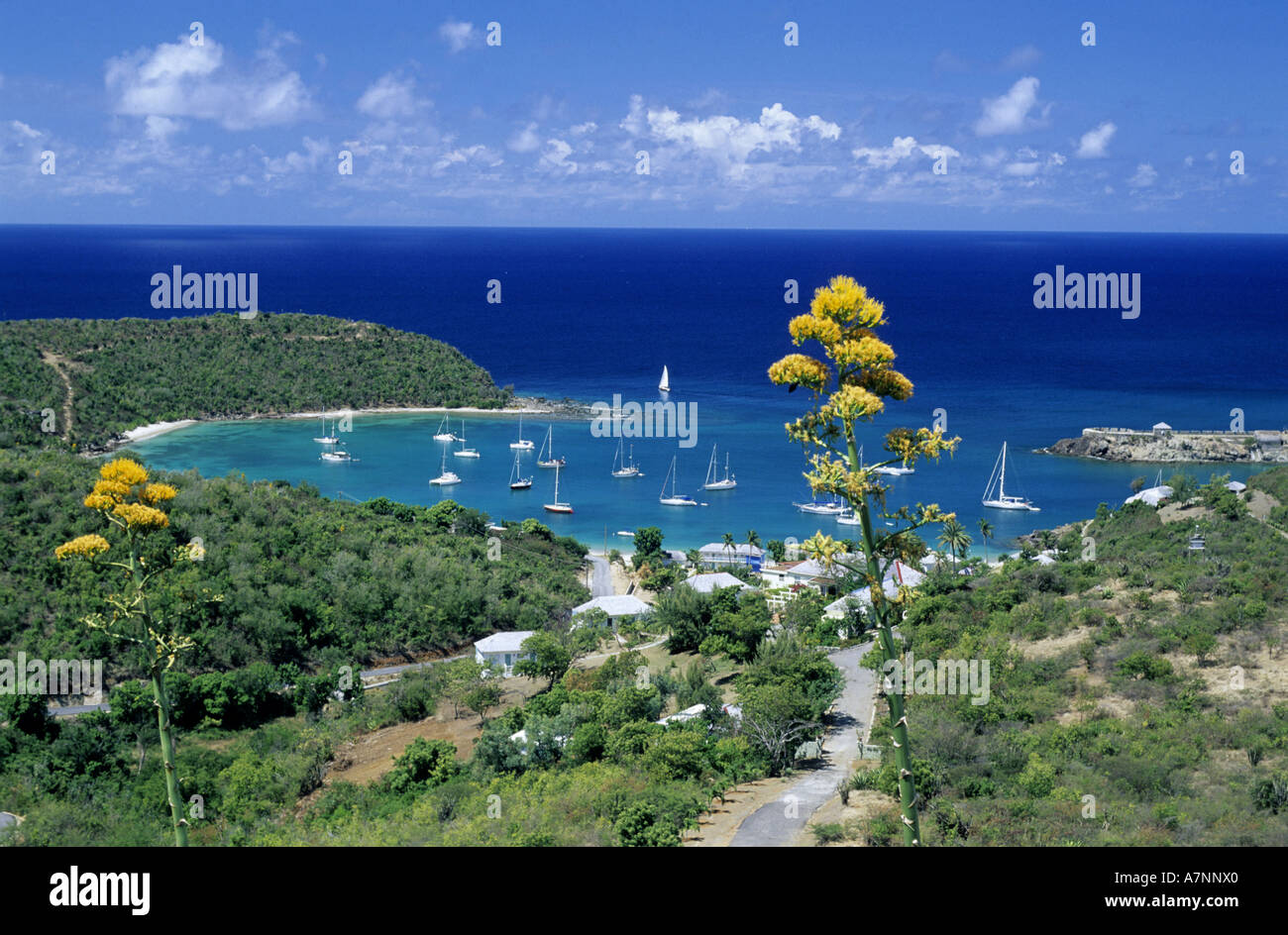 Antigua and Barbuda, Antigua Island, English Harbour Town from Stock