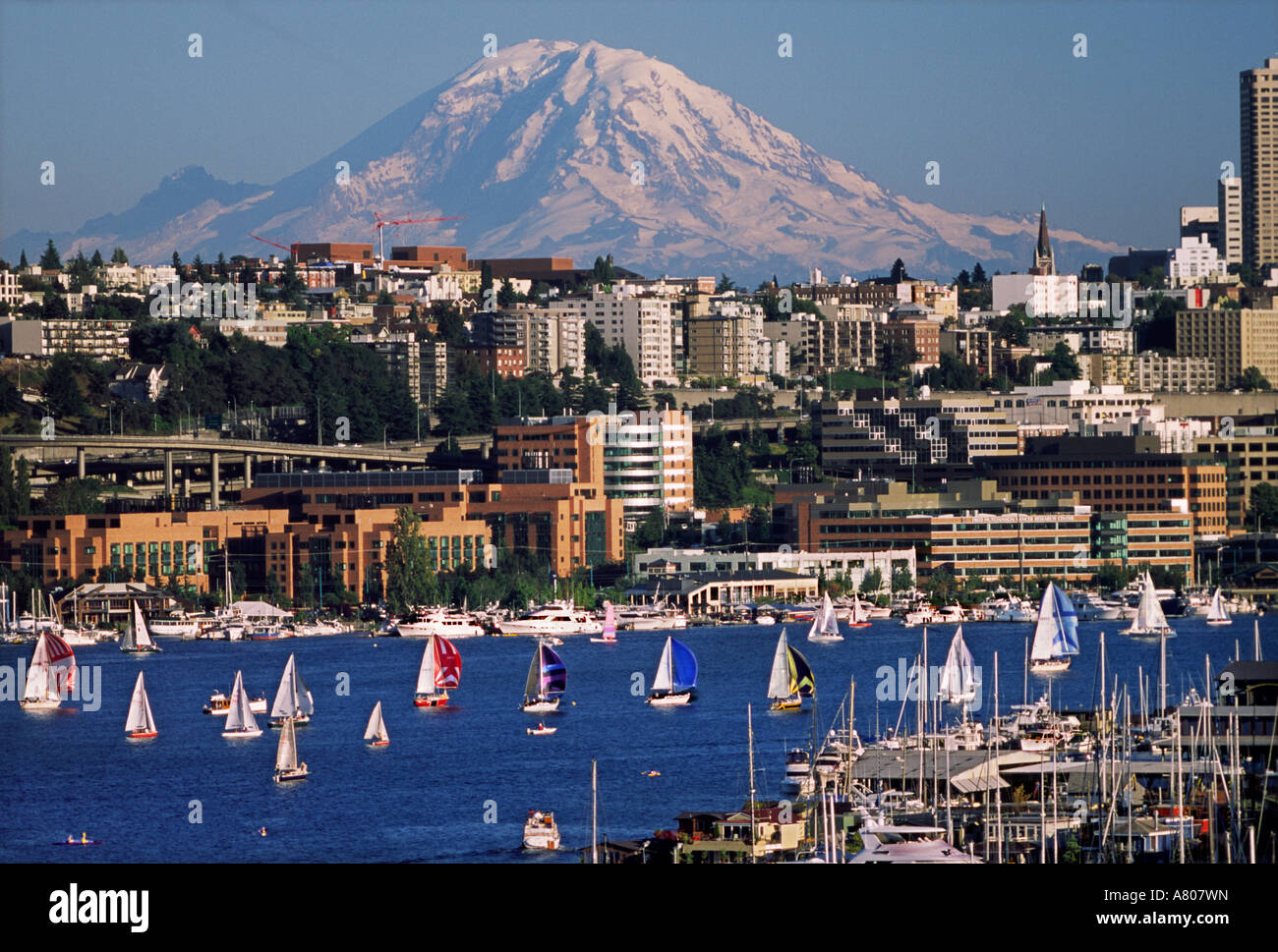 USA, Washington, Seattle. Summer cityscape features Lake Union Stock