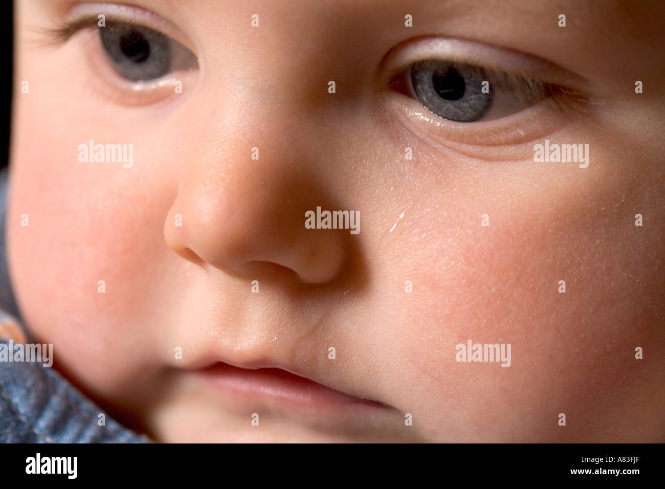 BABY <b>GIRL NINE</b> MONTHS OLD Stock Photo - baby-girl-nine-months-old-A83FJF