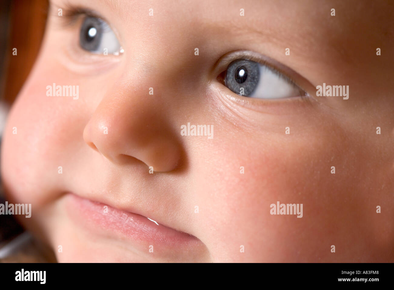 BABY <b>GIRL NINE</b> MONTHS OLD Stock Photo - baby-girl-nine-months-old-A83FM8