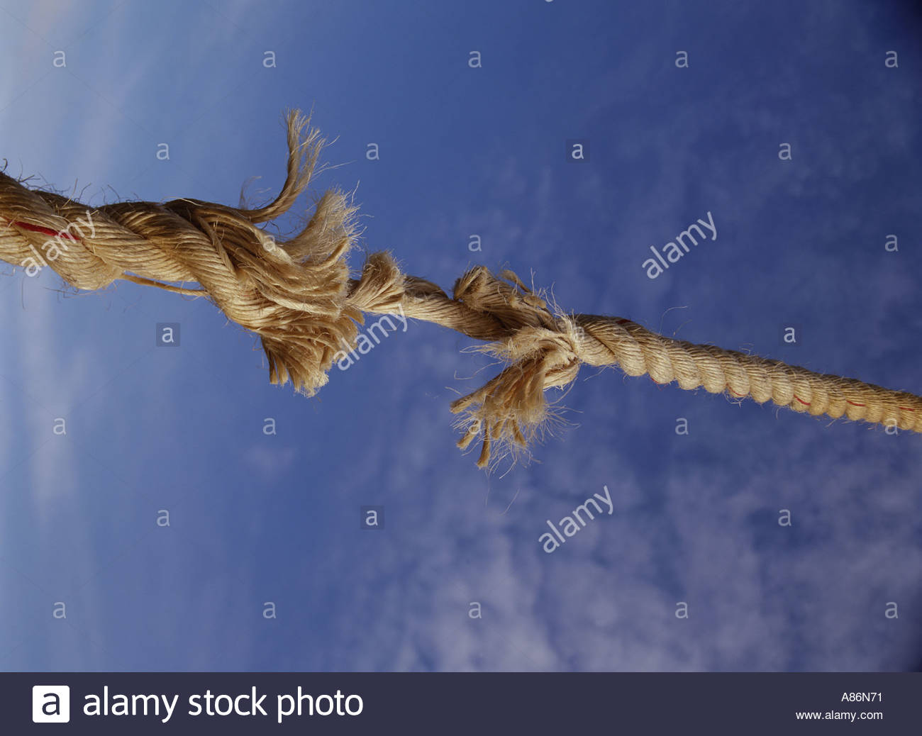 Breaking Rope Stock Photo, Royalty Free Image 3919216 Alamy