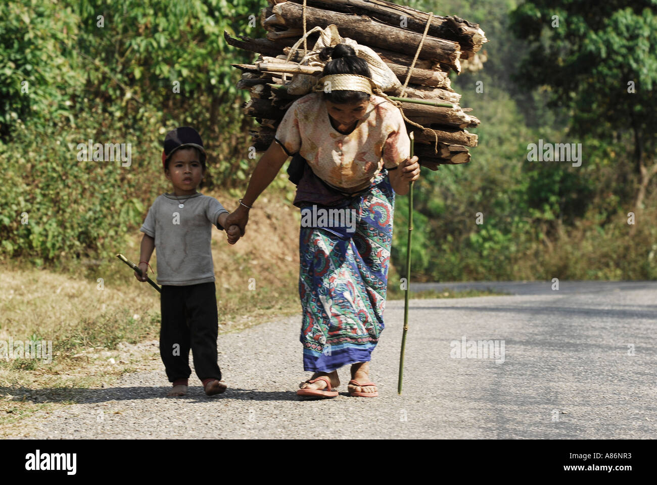 old-woman-carrying-firewood-northern-lao
