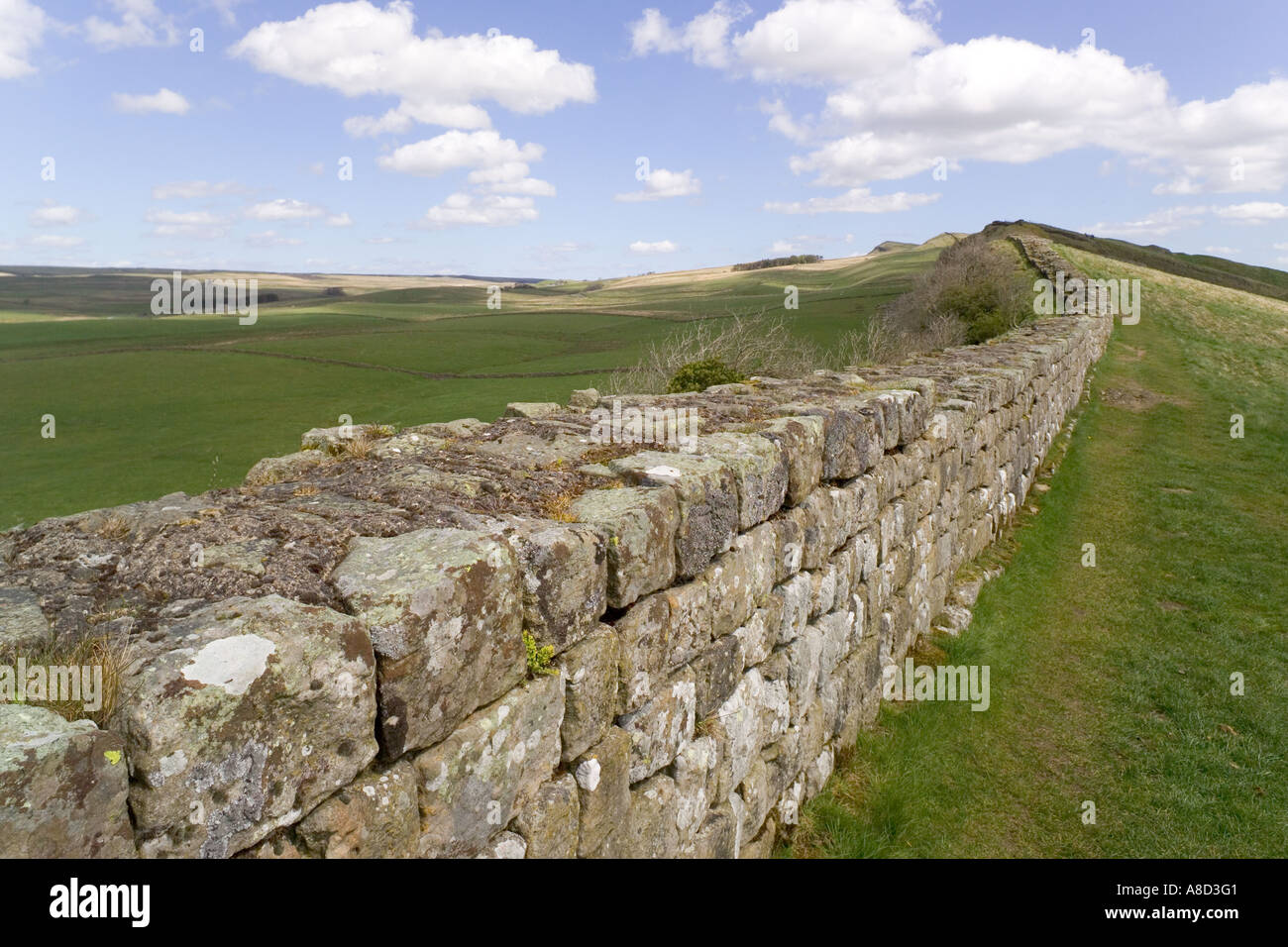 Hadrians Wall Path Cawfield High Resolution Stock Photography And