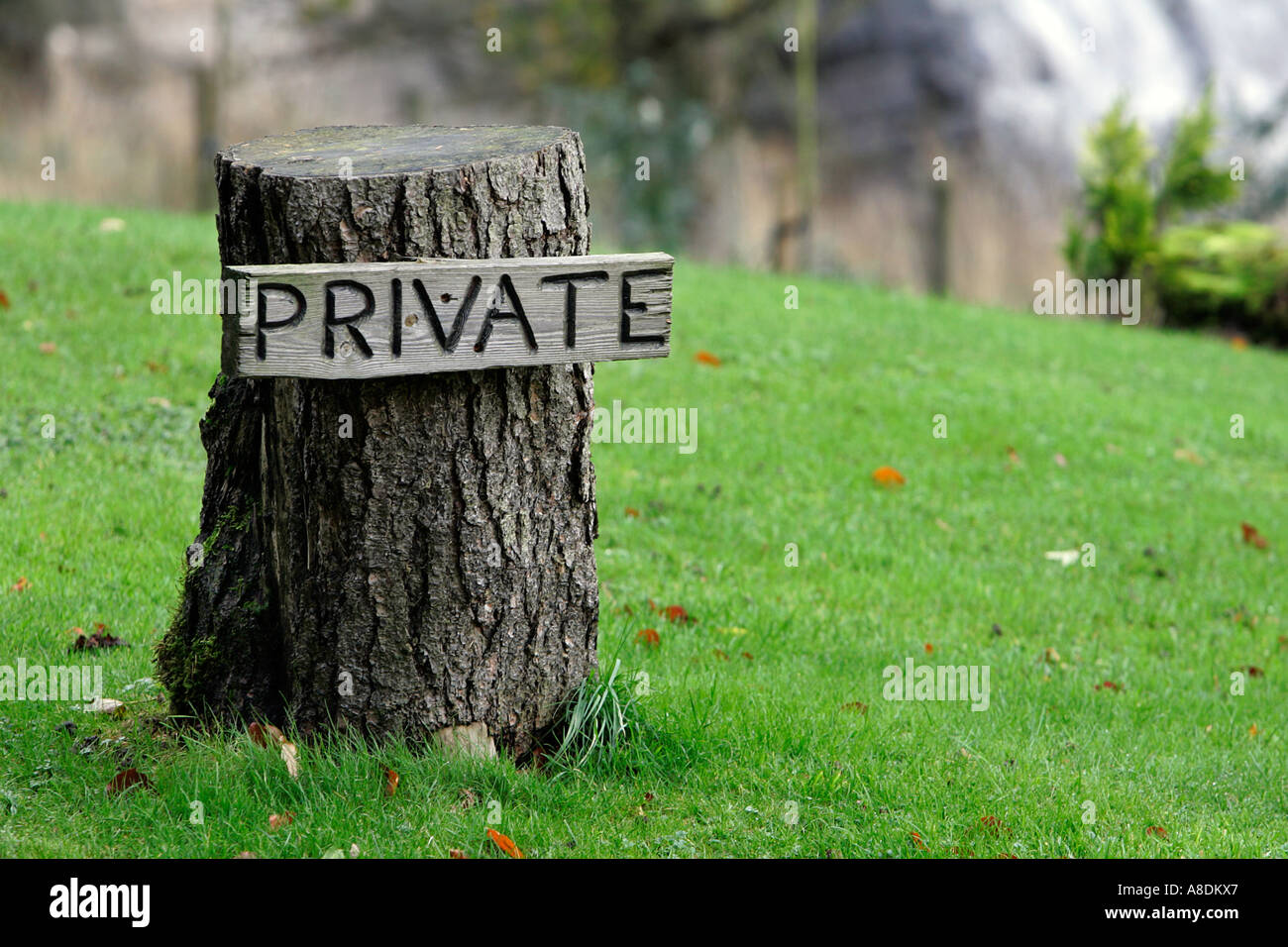 Wood From The Uk keep out property ancient tree trunk stump green Wood From The Uk keep out property ancient tree trunk stump green