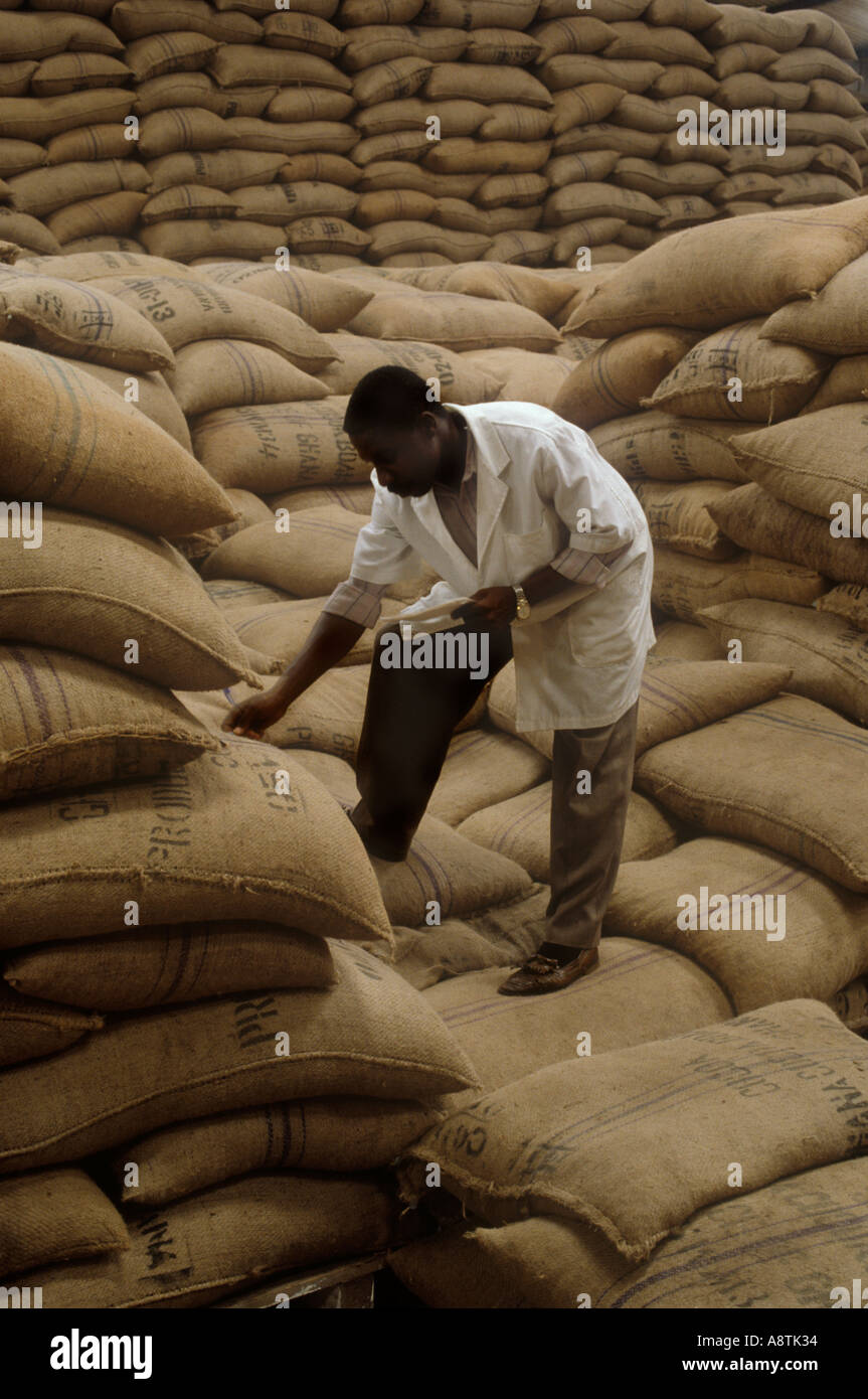 Checking sacks of cocoa beans awaiting export warehouse in the port