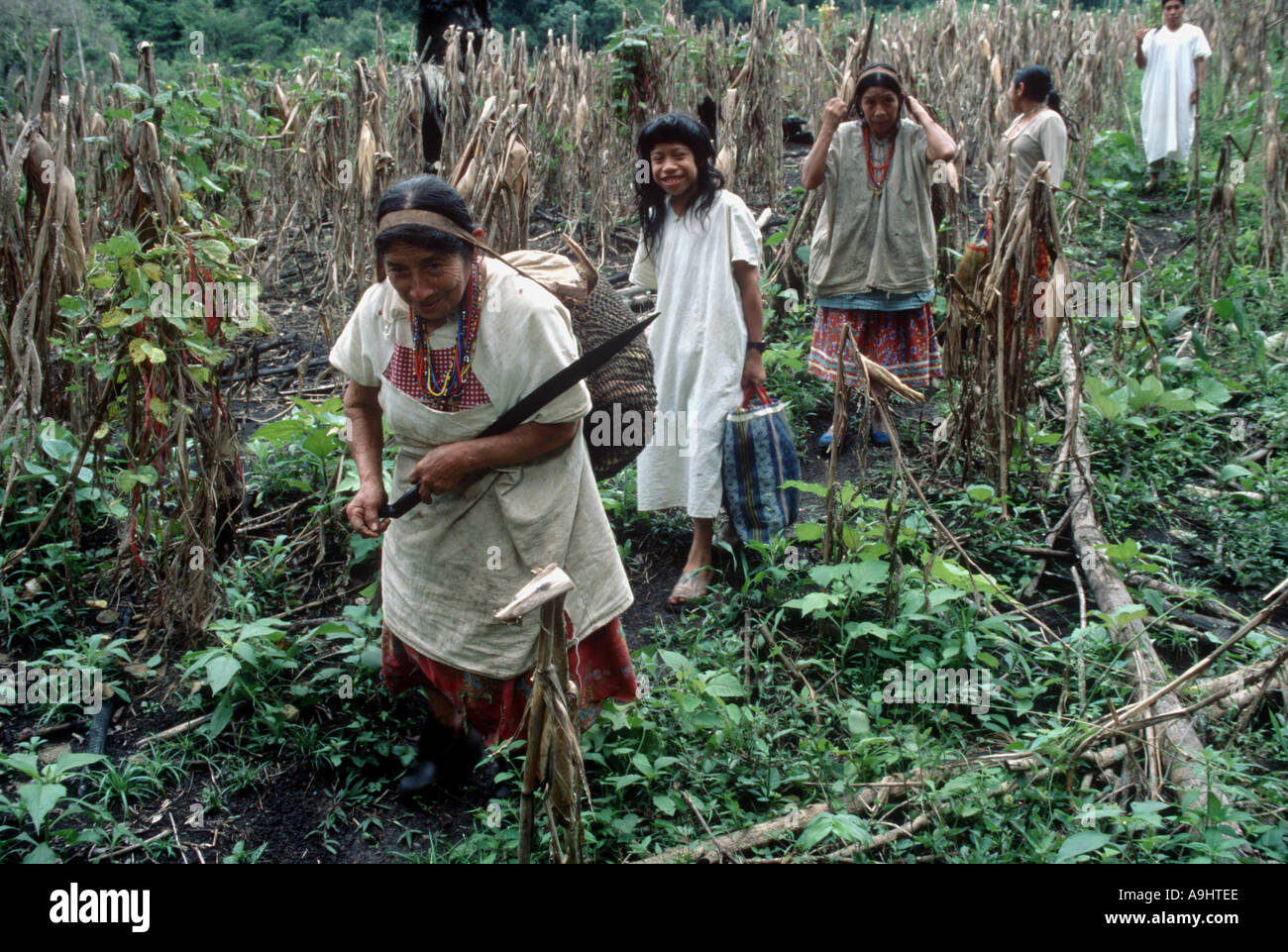 download a desolate place for a defiant people the archaeology of maroons indigenous americans and enslaved laborers