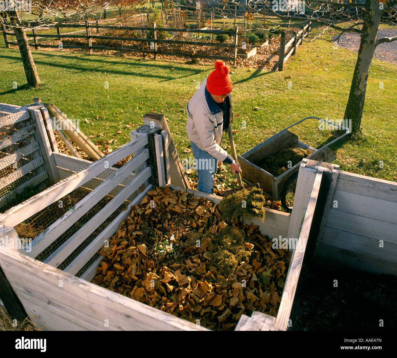 ADDING GRASS CLIPPINGS TO COMPOST PILE PENNSYLVANIA Stock Photo