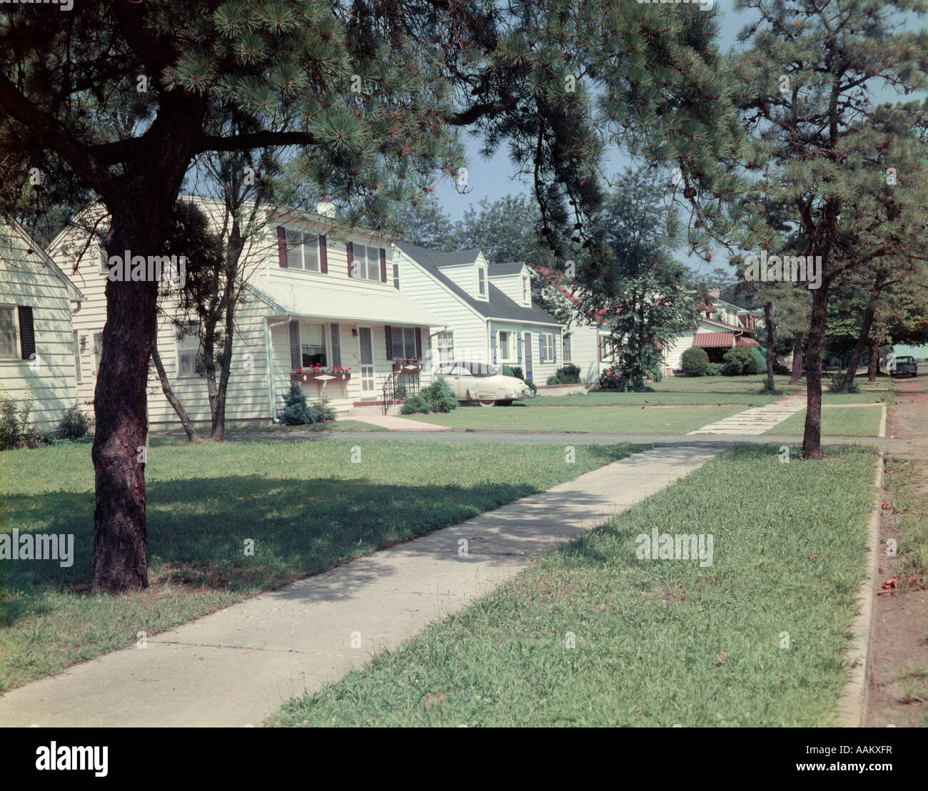 1950s SUBURBAN STREET WHITE HOUSES WITH SIDEWALK RUNNING ...
 1950s Suburban Homes