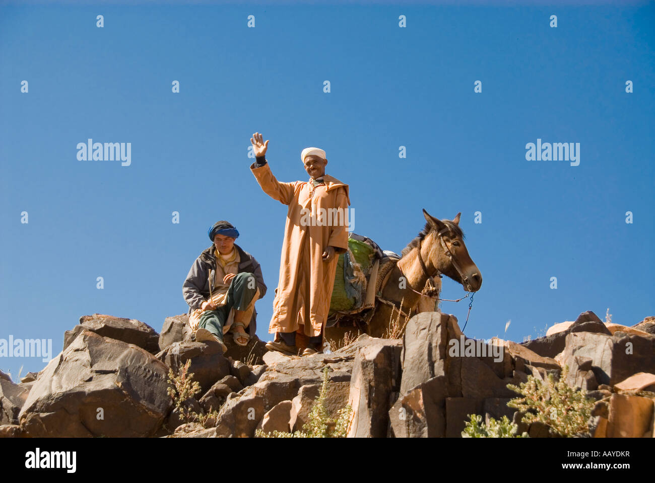 morocco expedition walking berber nomads morocco expedition walking berber nomads