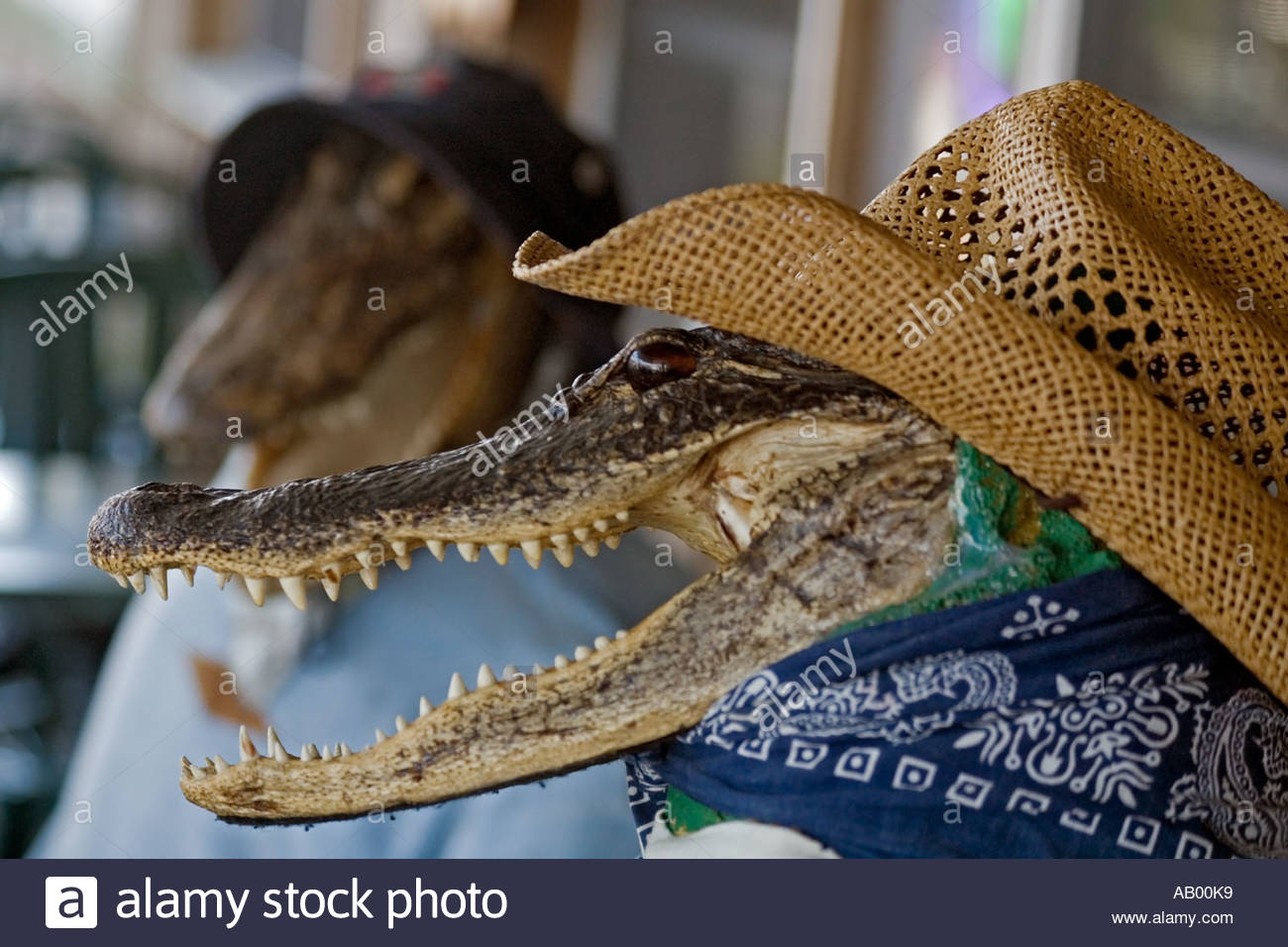 profile-of-stuffed-alligator-wearing-straw-hat-and-bandana-AB00K9.jpg