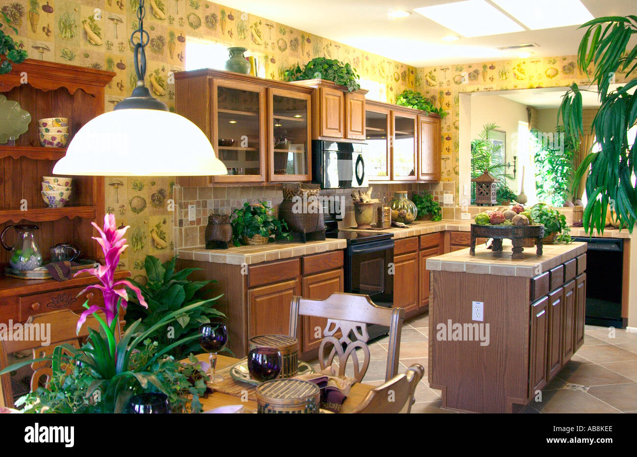 Surprise model homes Surprise model homes