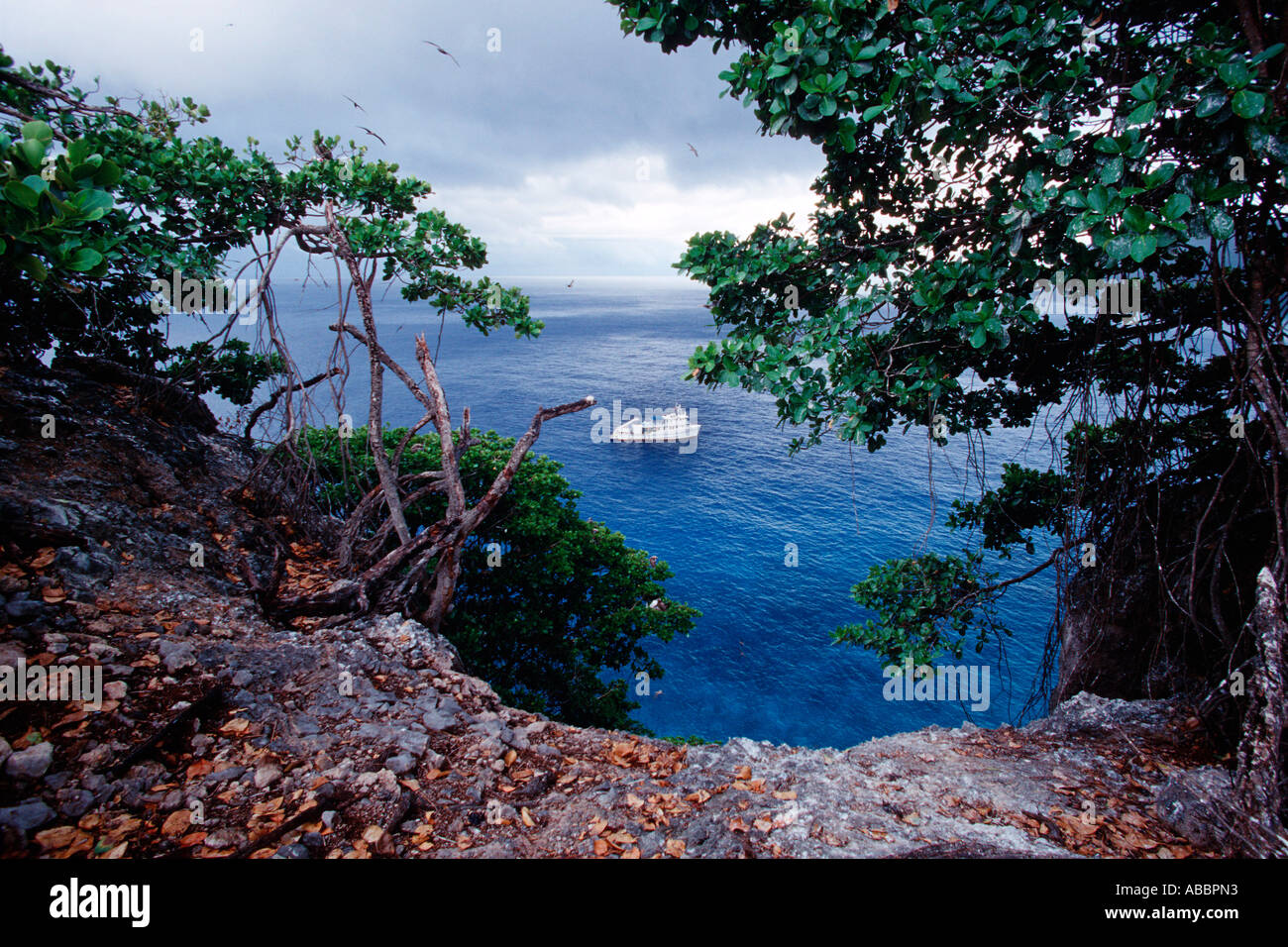 a recollection of my trip to the cocos island in costa rica 2016-6-7 the fight was over and i knew i had fought my it's difficult to have a clear recollection of exactly how take a slow-motion trip through the wild. a recollection of my trip to the cocos island in costa rica 2016-6-7 the fight was over and i knew i had fought my it's difficult to have a clear recollection of exactly how take a slow-motion trip through the wild.