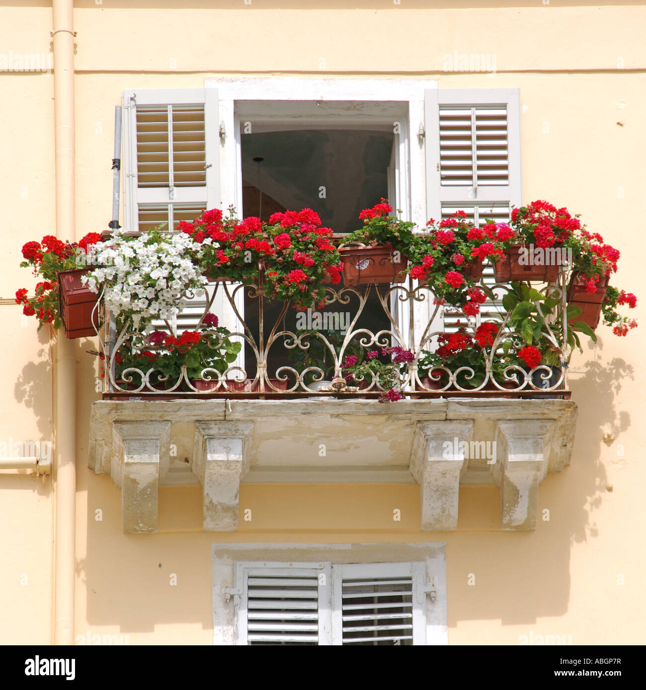 Photo collection balcony flower and old.