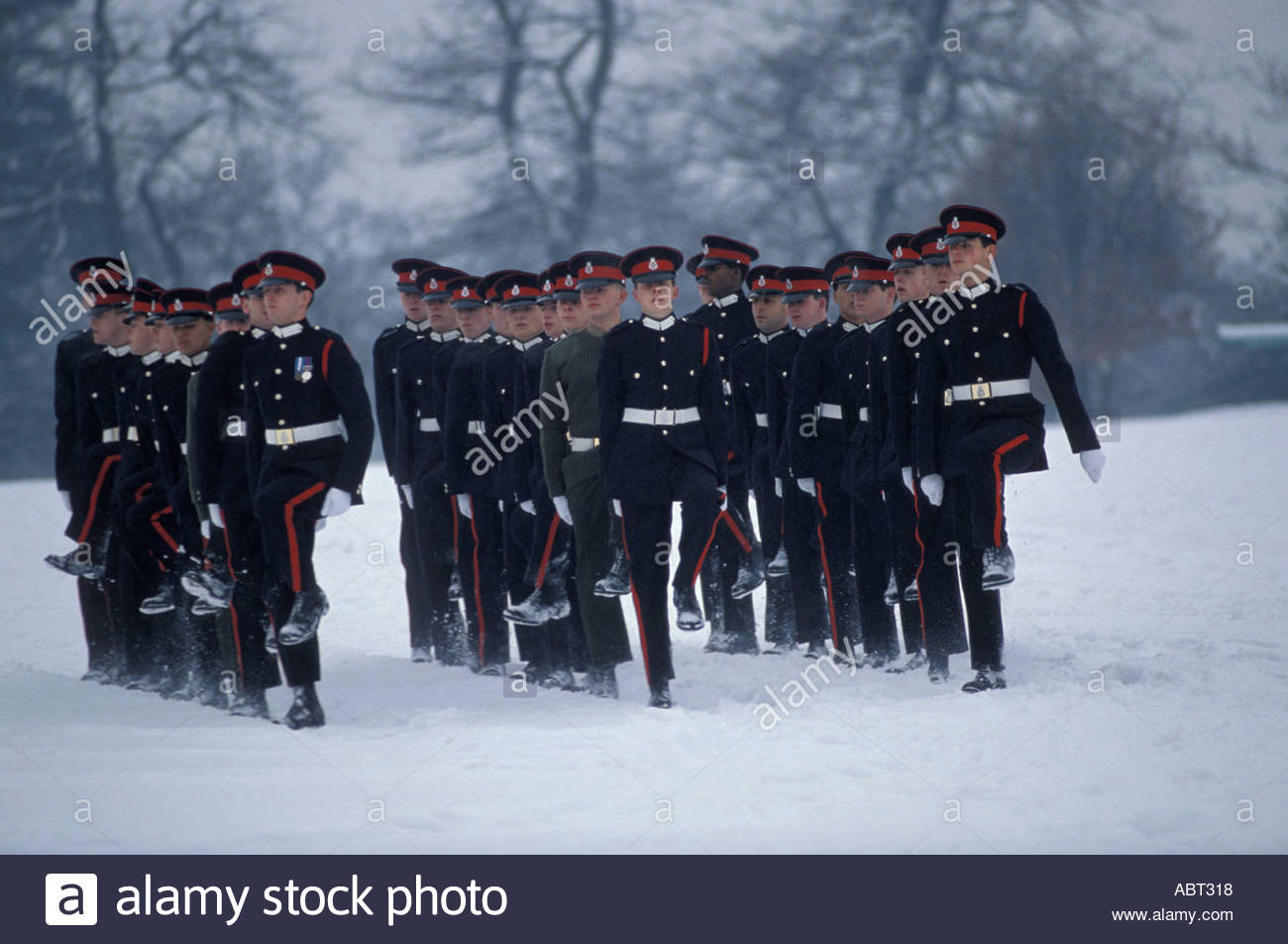 Officer Cadets training to Army Officers at the Sandhurst Stock