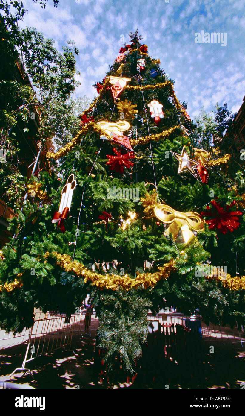 sydney australia christmas tree in the street stock photo sydney australia christmas tree in the street stock photo