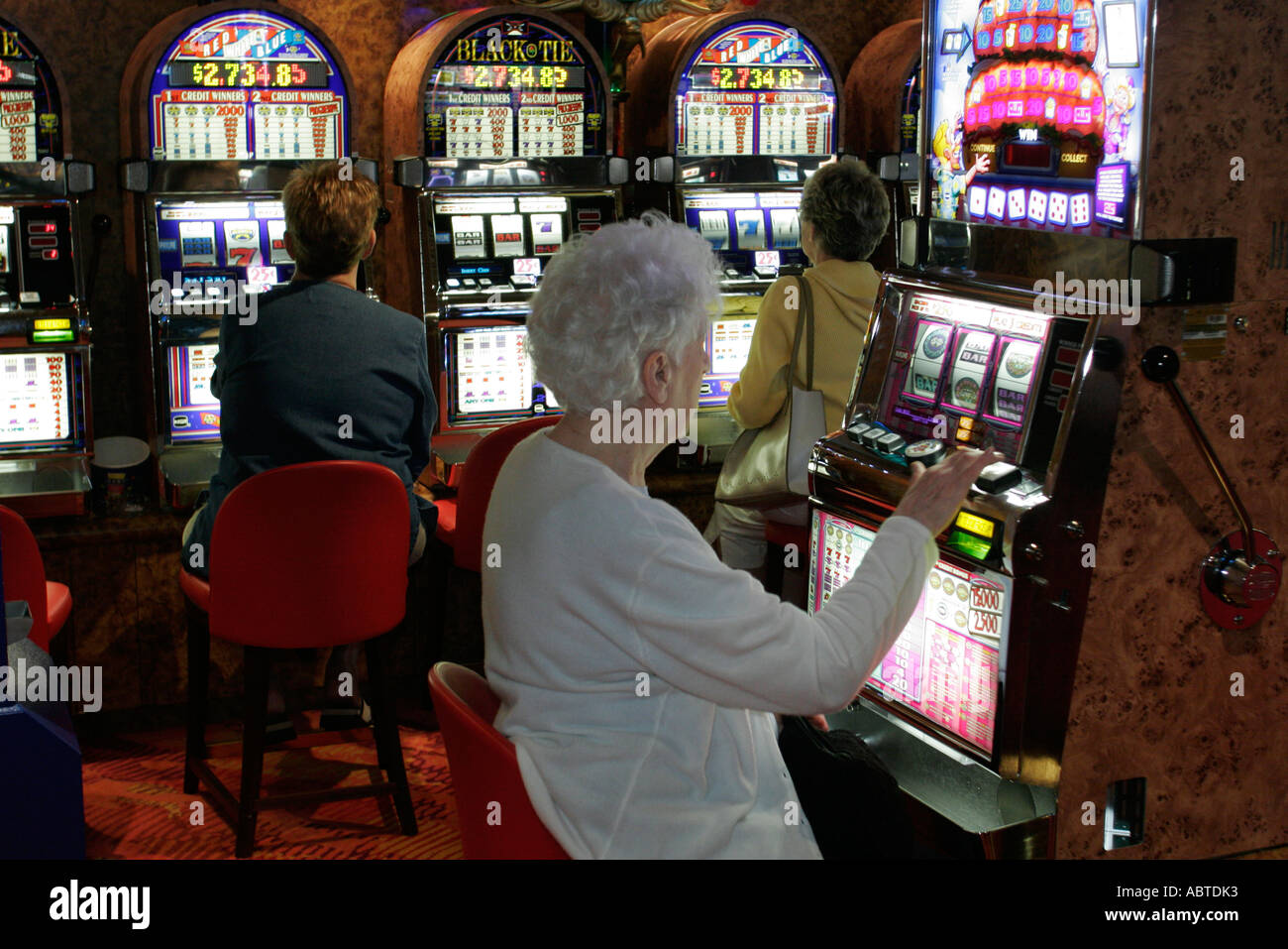 Gambling on holland america