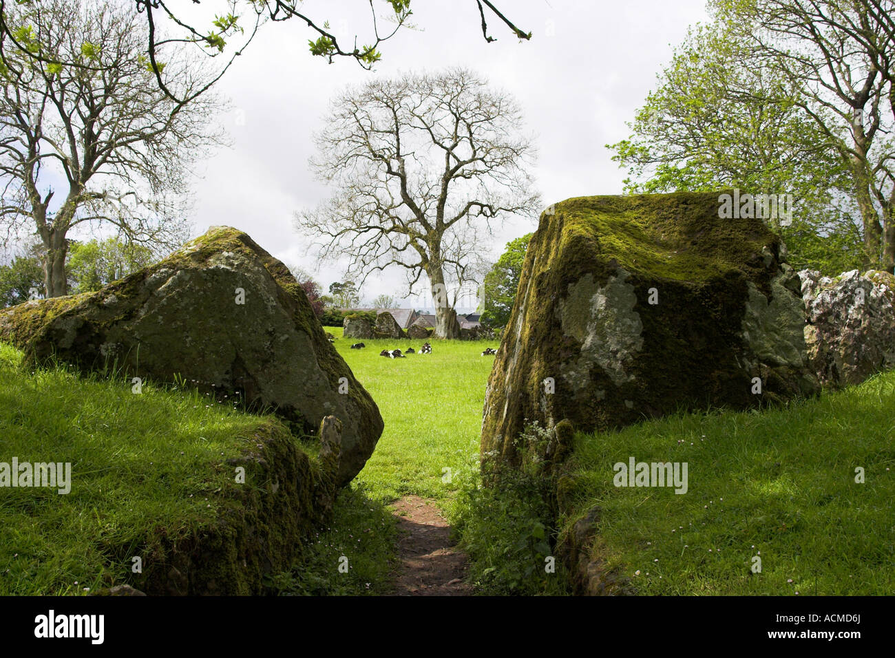 Grange Stone Circle Lough Gur Stone Age Centre Bruff Co Limerick Stock