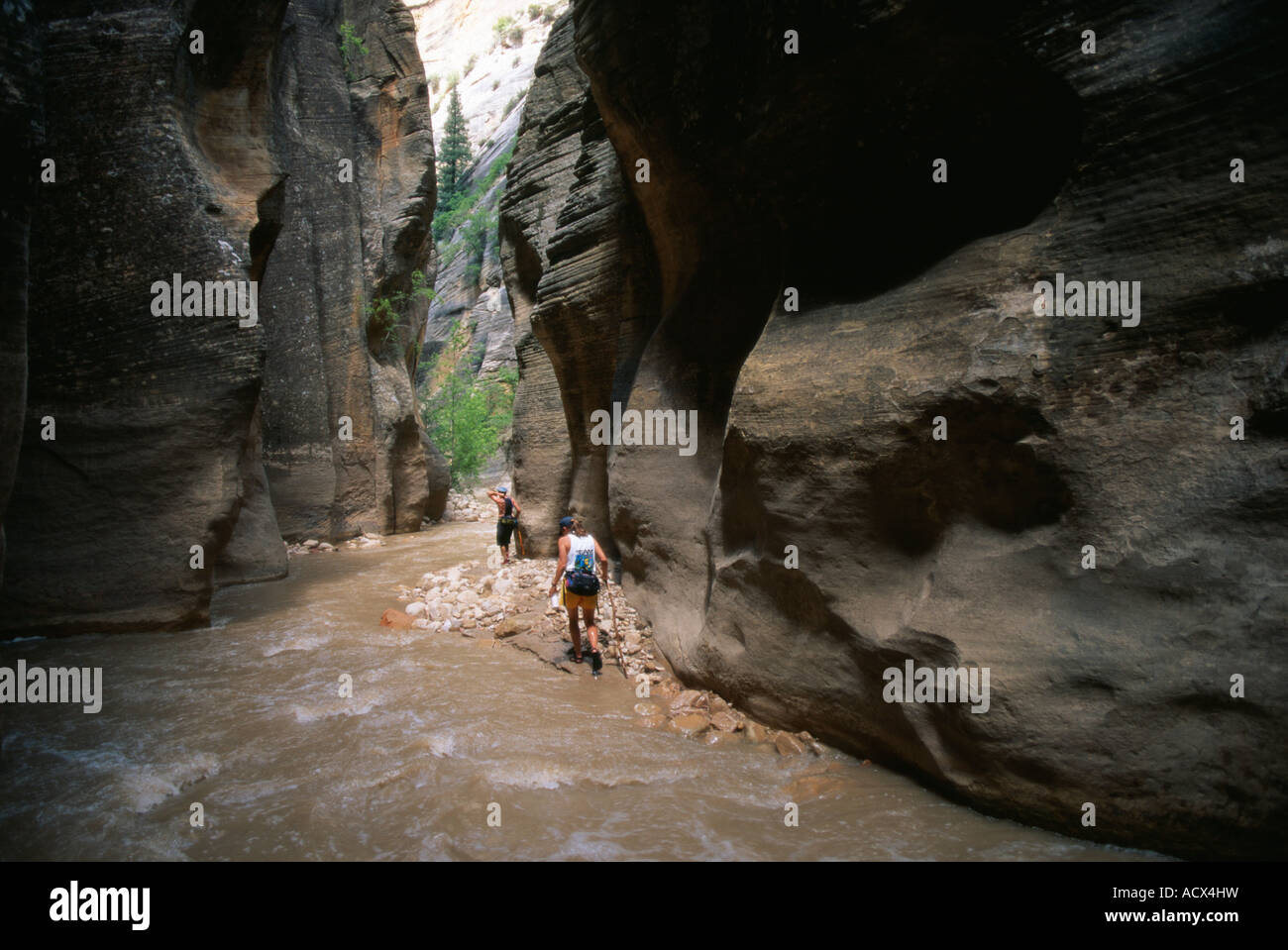 Zion slot canyons narrows