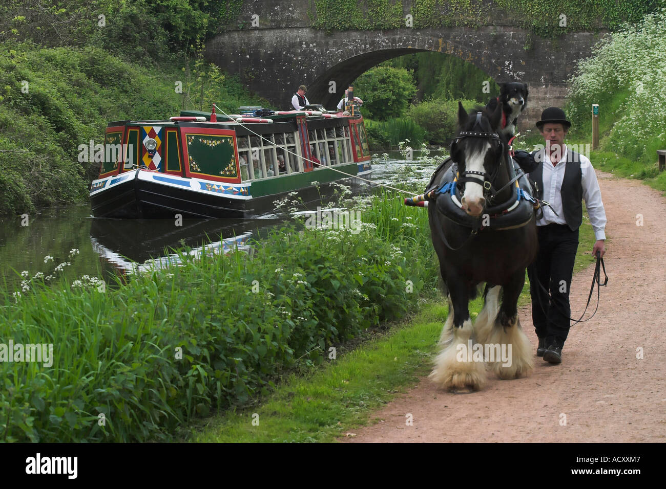 a Horse Drawn Barge On The Grand Western Canal Tiverton Devon England