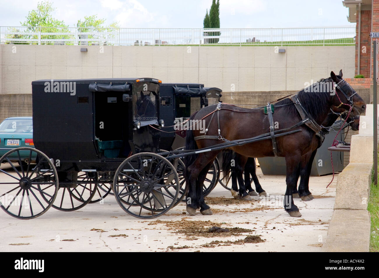 Amish horse and buggy in a parking lot at berlin ohio stock image