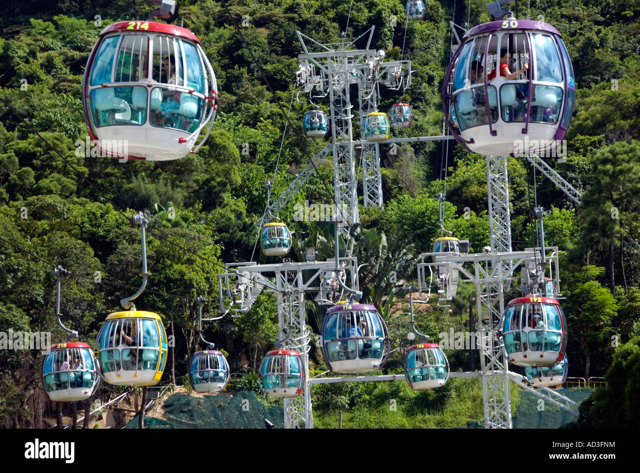 cable-car-gondolas-carry-visitors-to-ocean-park-amusement-park-in-AD3FNM.jpg