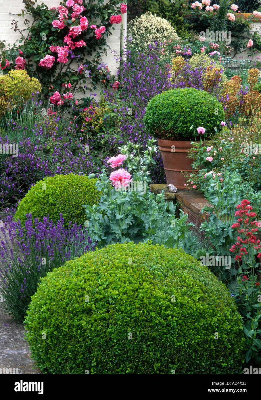 Garden Design Hedges kettle hill, box hedges norfolk england english garden design Garden Design Hedges kettle hill, box hedges norfolk england english garden design
