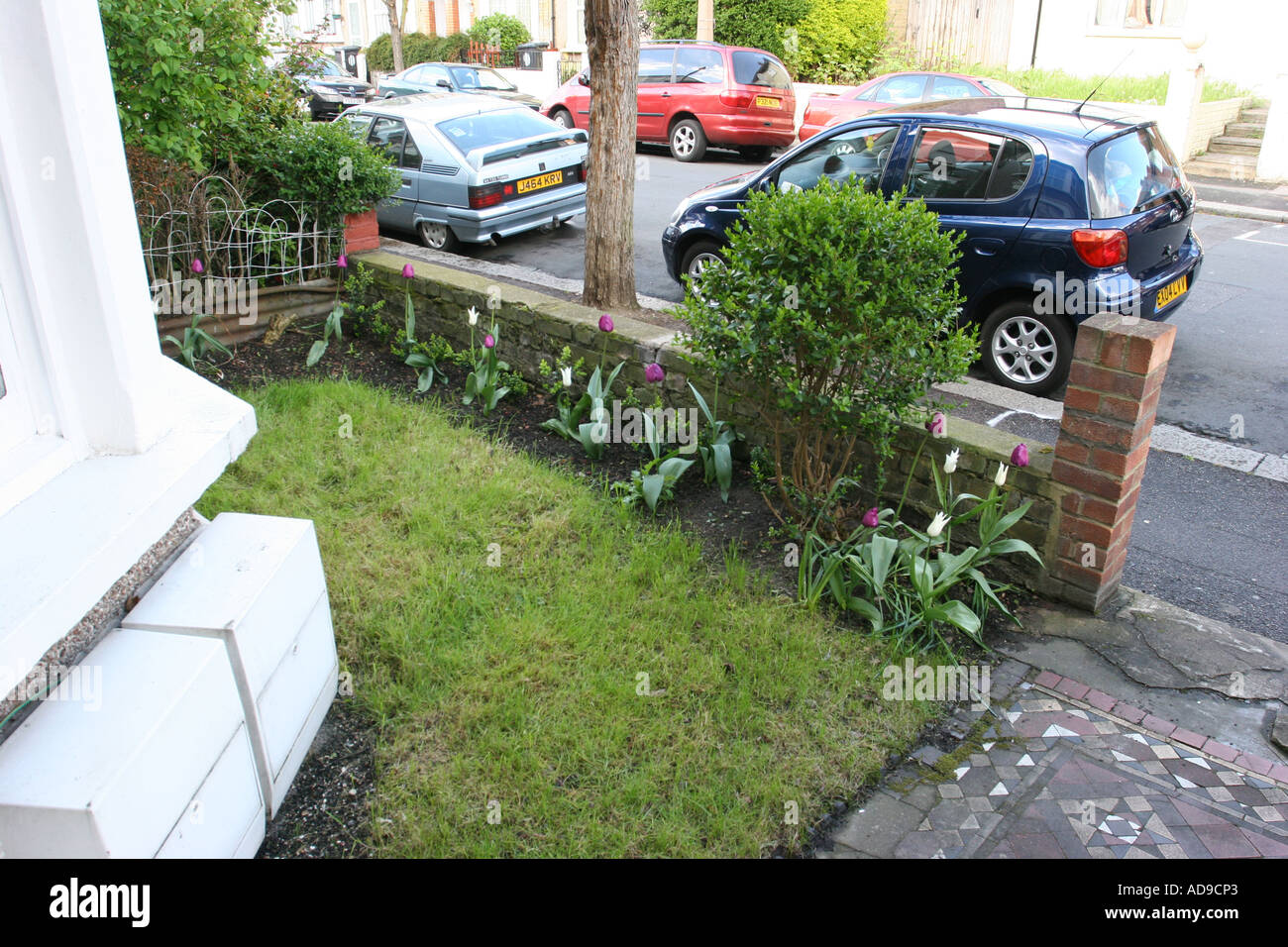 Small Front Garden Of A Traditional Victorian Terrace House Stock