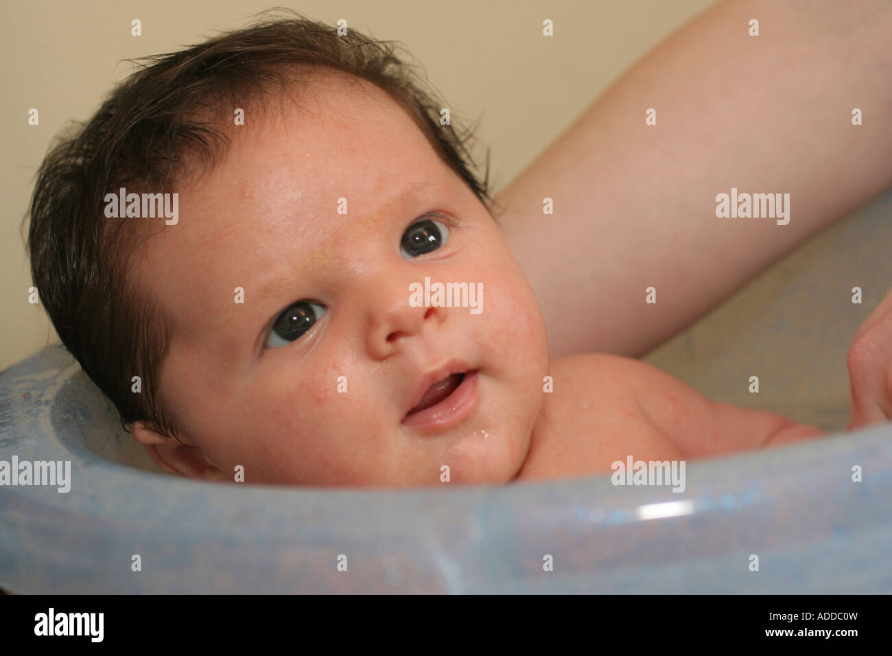 3 Week Old Baby Boy being Bathed Wales UK Stock Photo, Royalty Free Image 13385352 Alamy