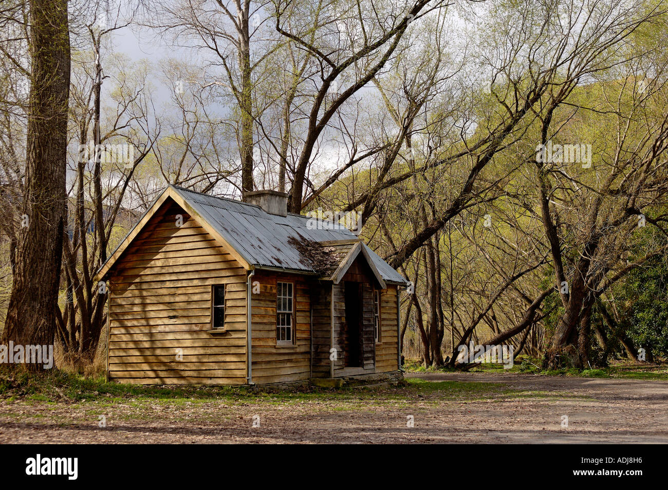 A old timber hut in amongst tall sprawling woodland Stock Photo