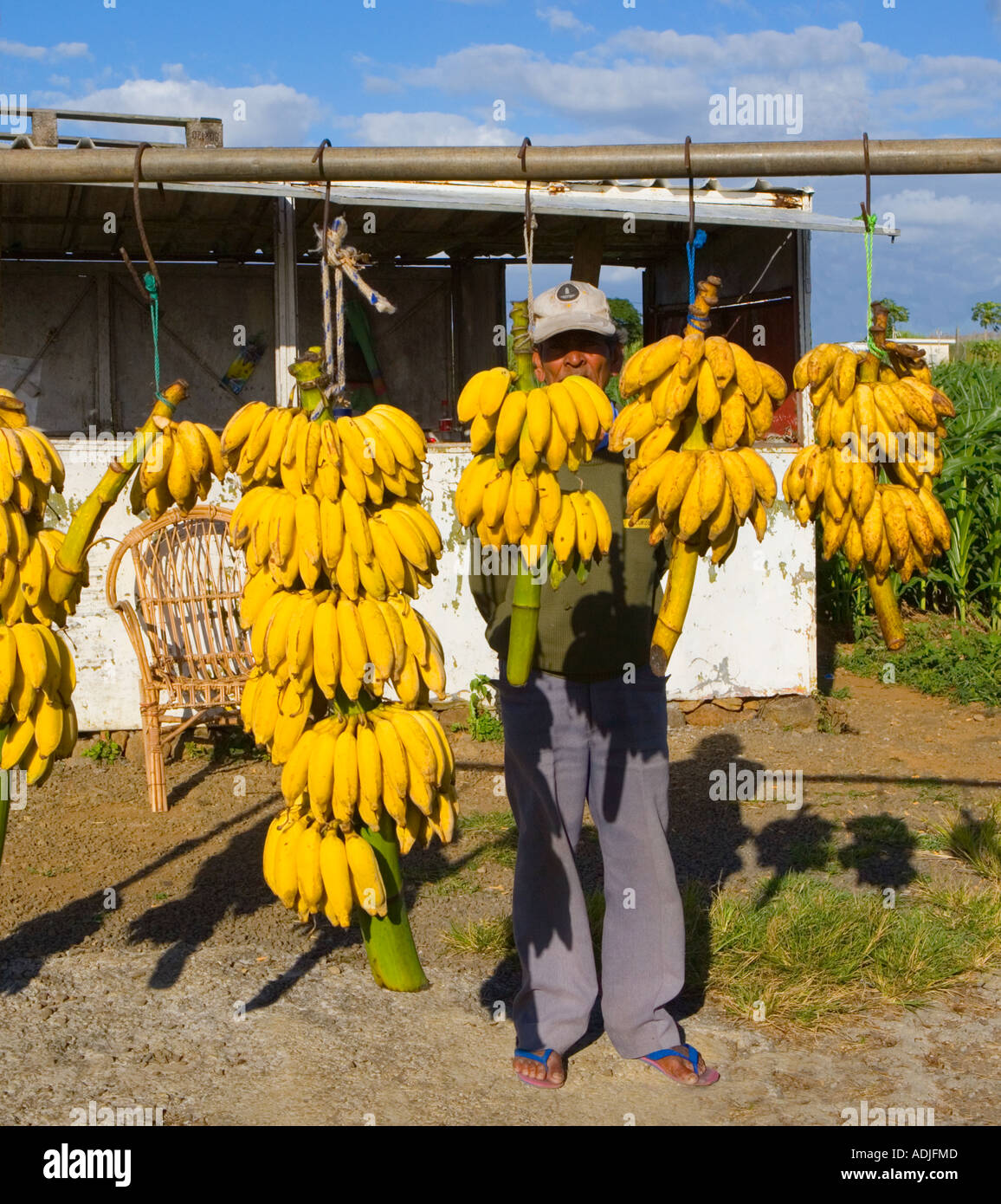 Mauritius Banana sales near airport Stock Photo, Royalty Free Image