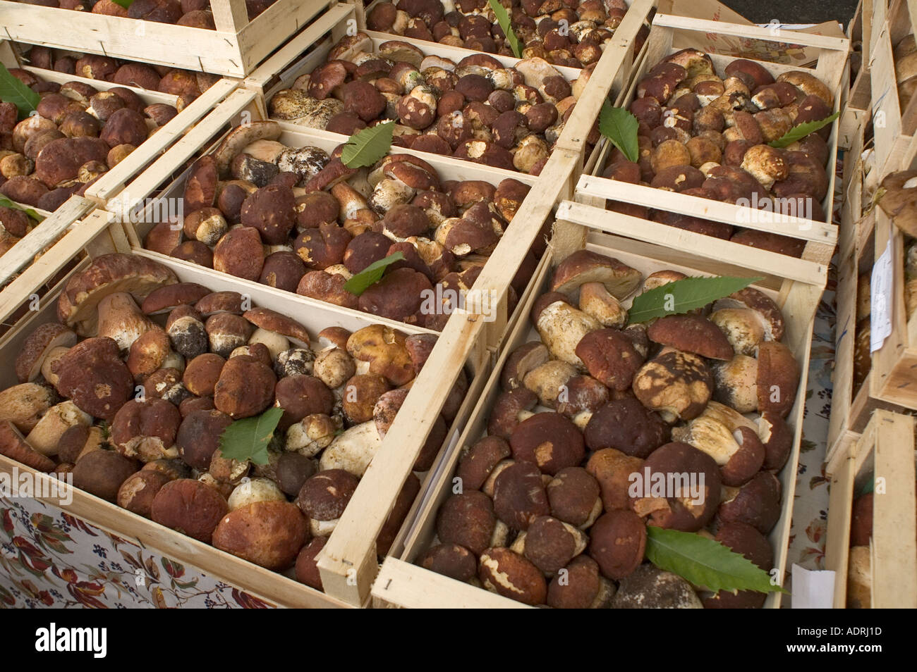 Moncalvo near Asti Piedmont Piemonte Italy truffles market Mercato di Stock Photo, Royalty Free