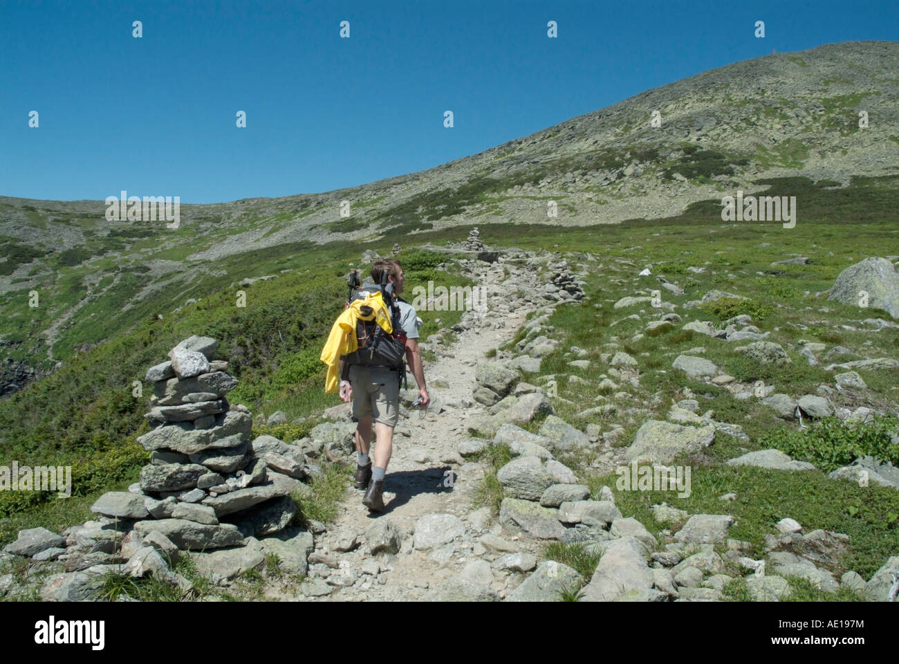 Mount Washington Lions Head Trail White Mountains New Hampshire USA Stock Photo, Royalty Free