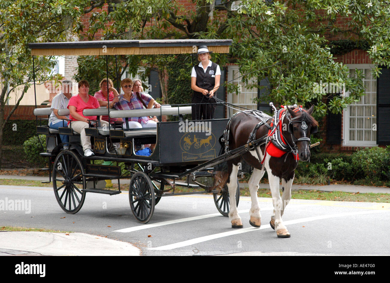 Horse drawn carriage tour Lafayette Square Savannah USA Stock