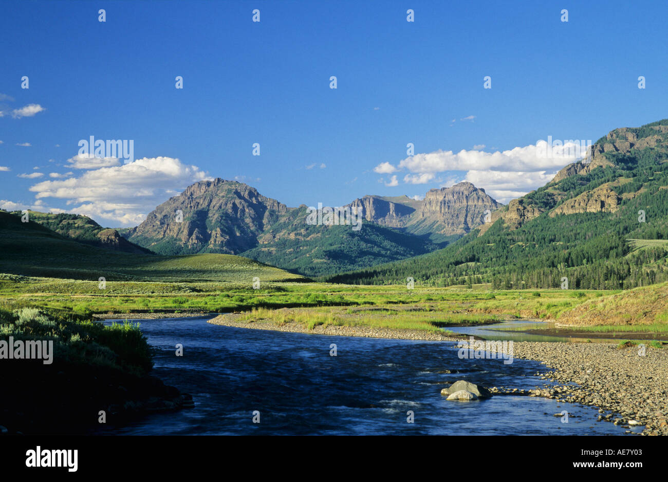 Lamar River Valley Yellowstone National Park Wyoming USA Stock Photo