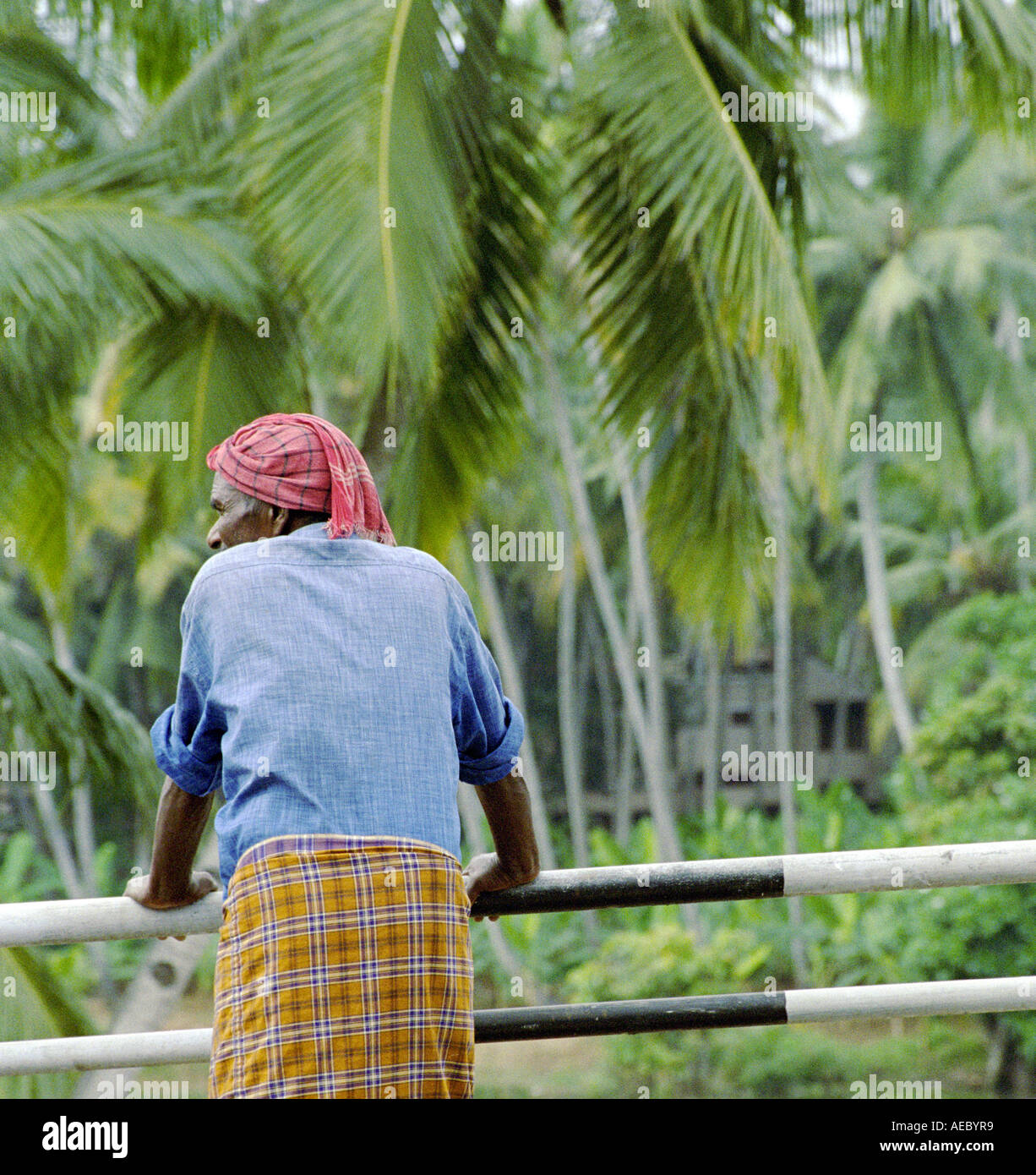 An Old Manual Labourer Relaxing On A Bridge In Kerala With Coconut