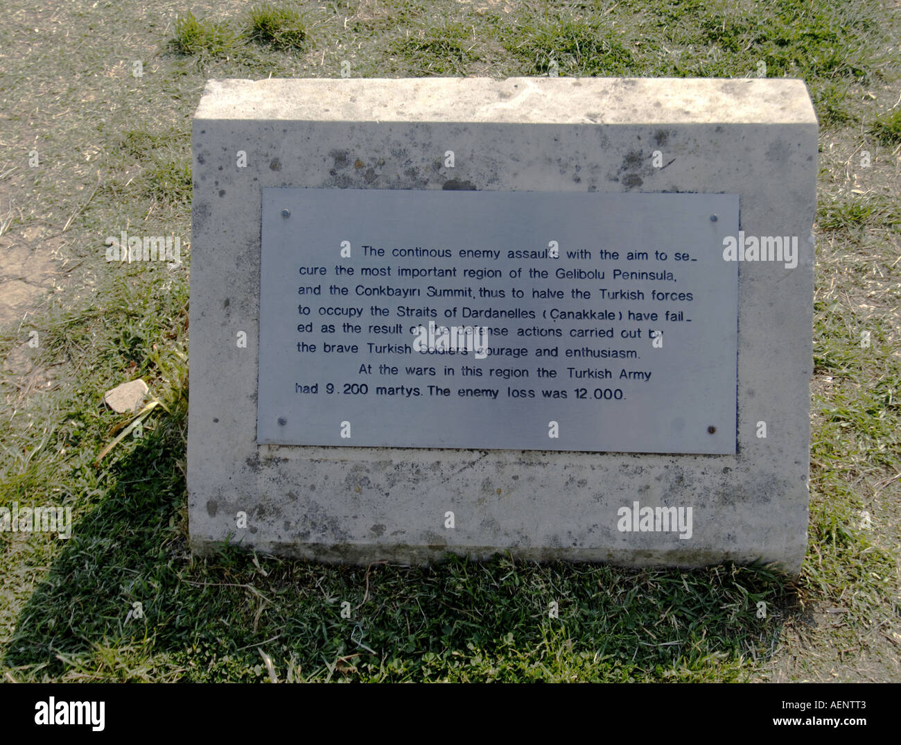 Gallipoli Essay