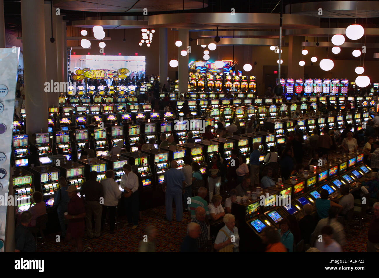 Trump casino in california webmaster casino