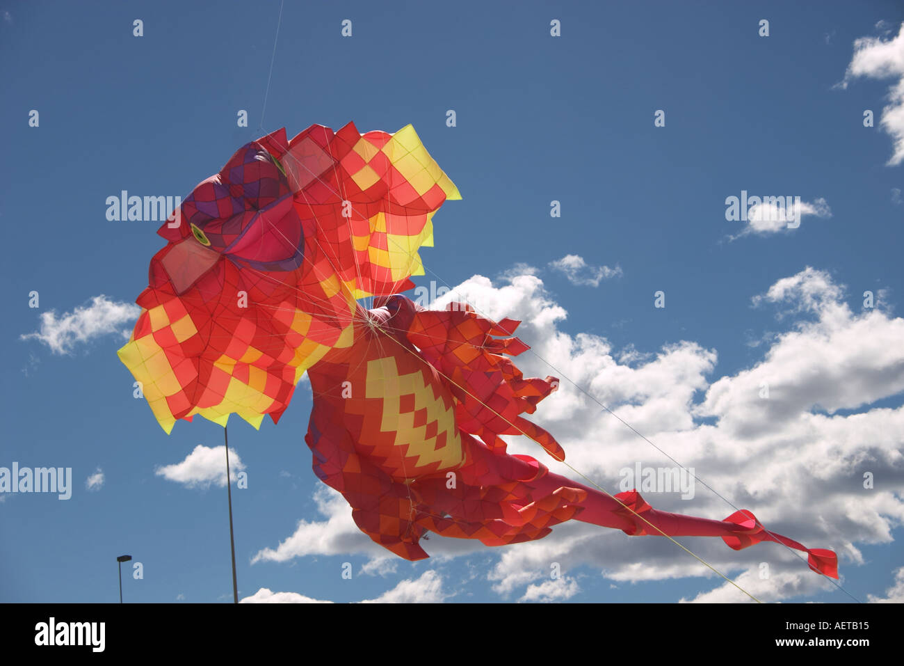 Kites flying at the Festival of the Winds on Bondi Beach Sydney Stock