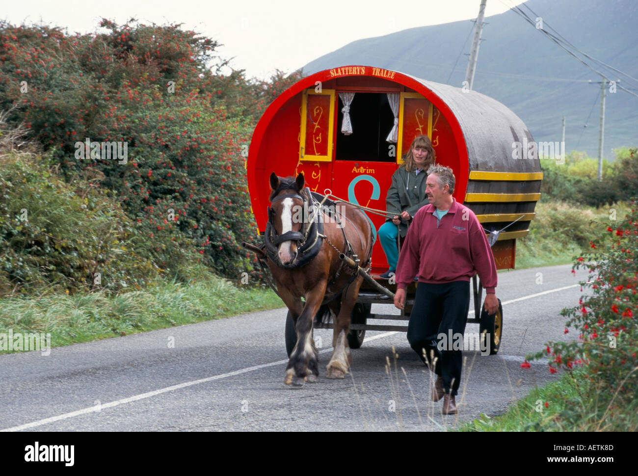 Horse drawn gypsy caravan Dingle Peninsula County Kerry Munster Eire