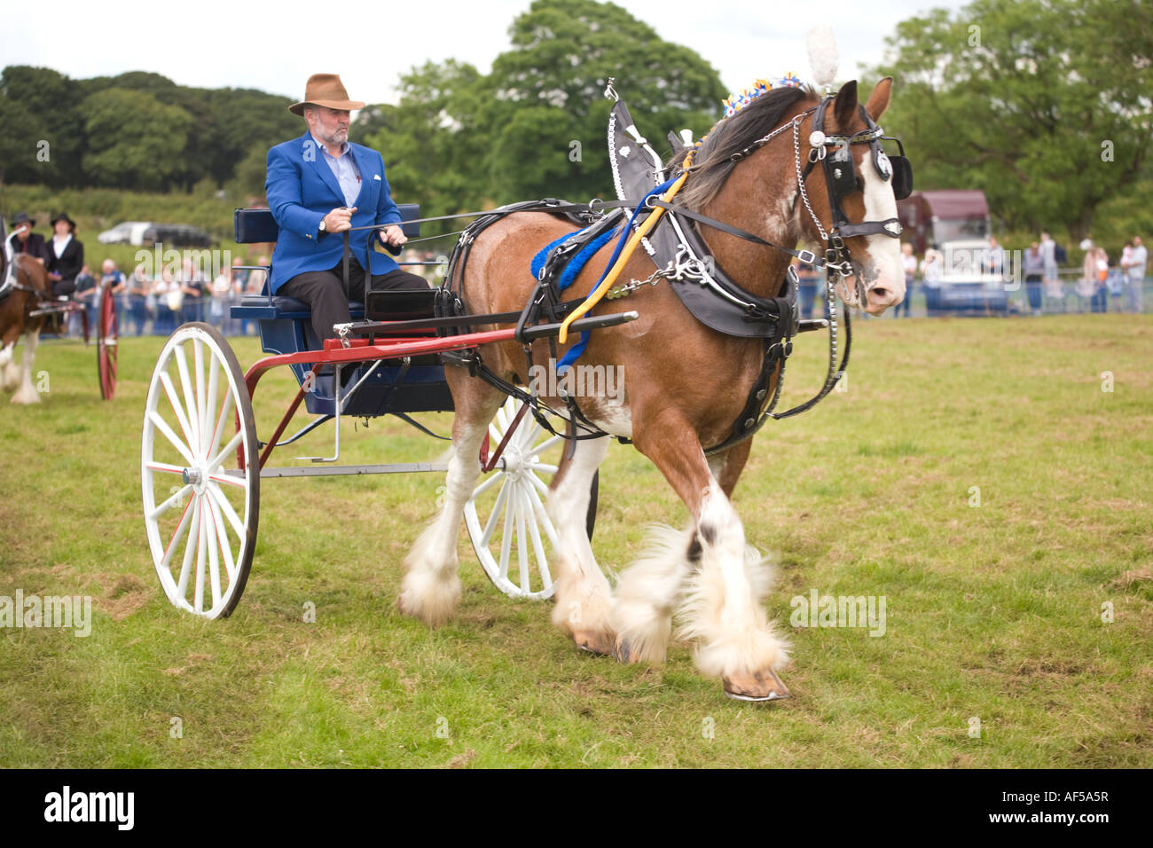 Heavy Horse Show a clydesdale horse pulling a buggy at Kittochside