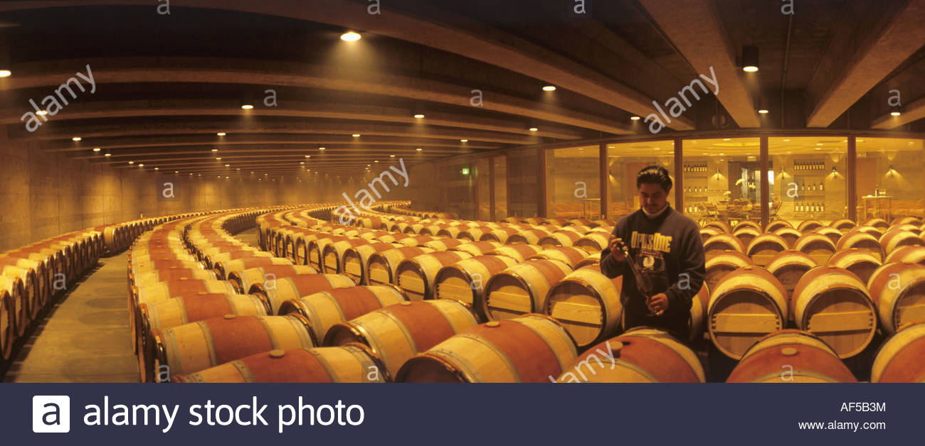 Cellar of Opus One Winery, Oakville, Napa Valley, USA Stock Photo
