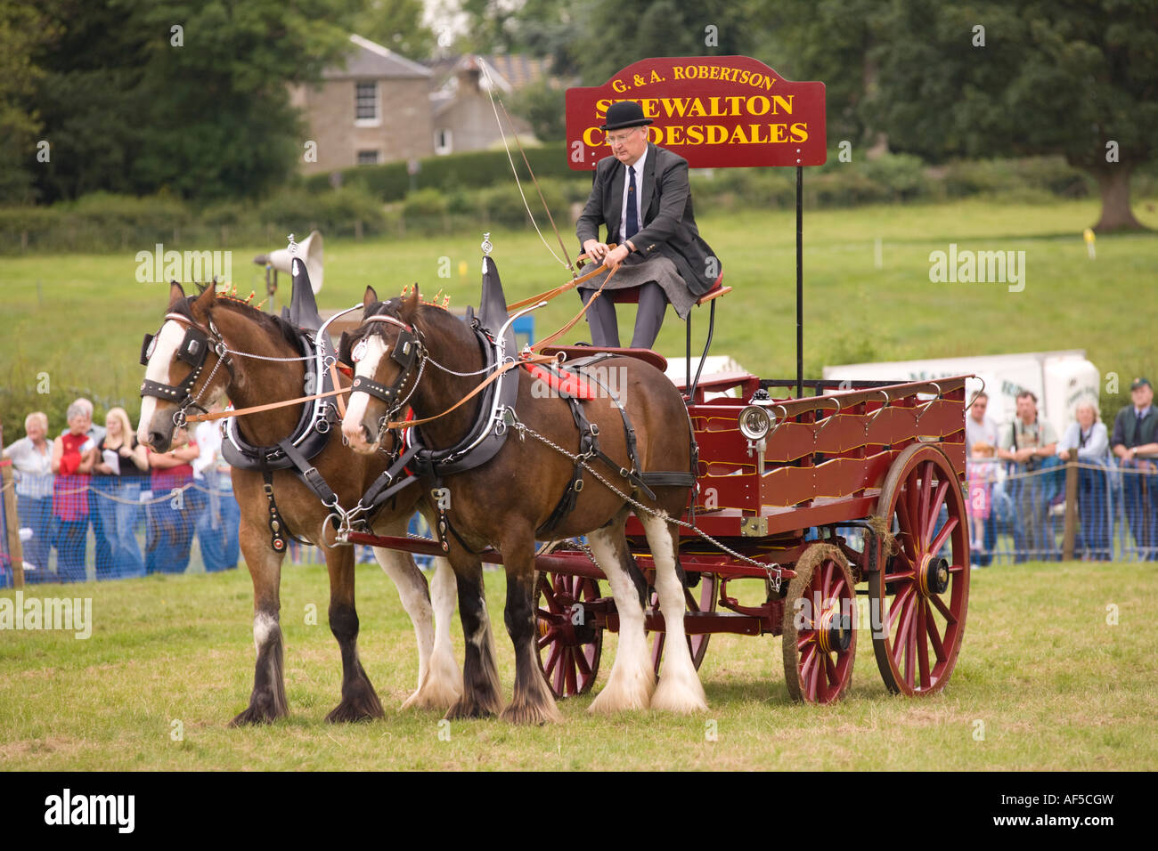 Heavy Horse Show a display of clydesdale horses pulling carts and Stock