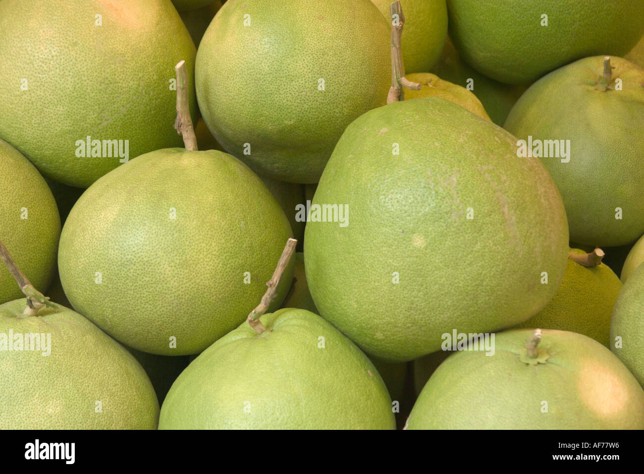citrus grandis green pomelo tropical fruit from malaysia stock