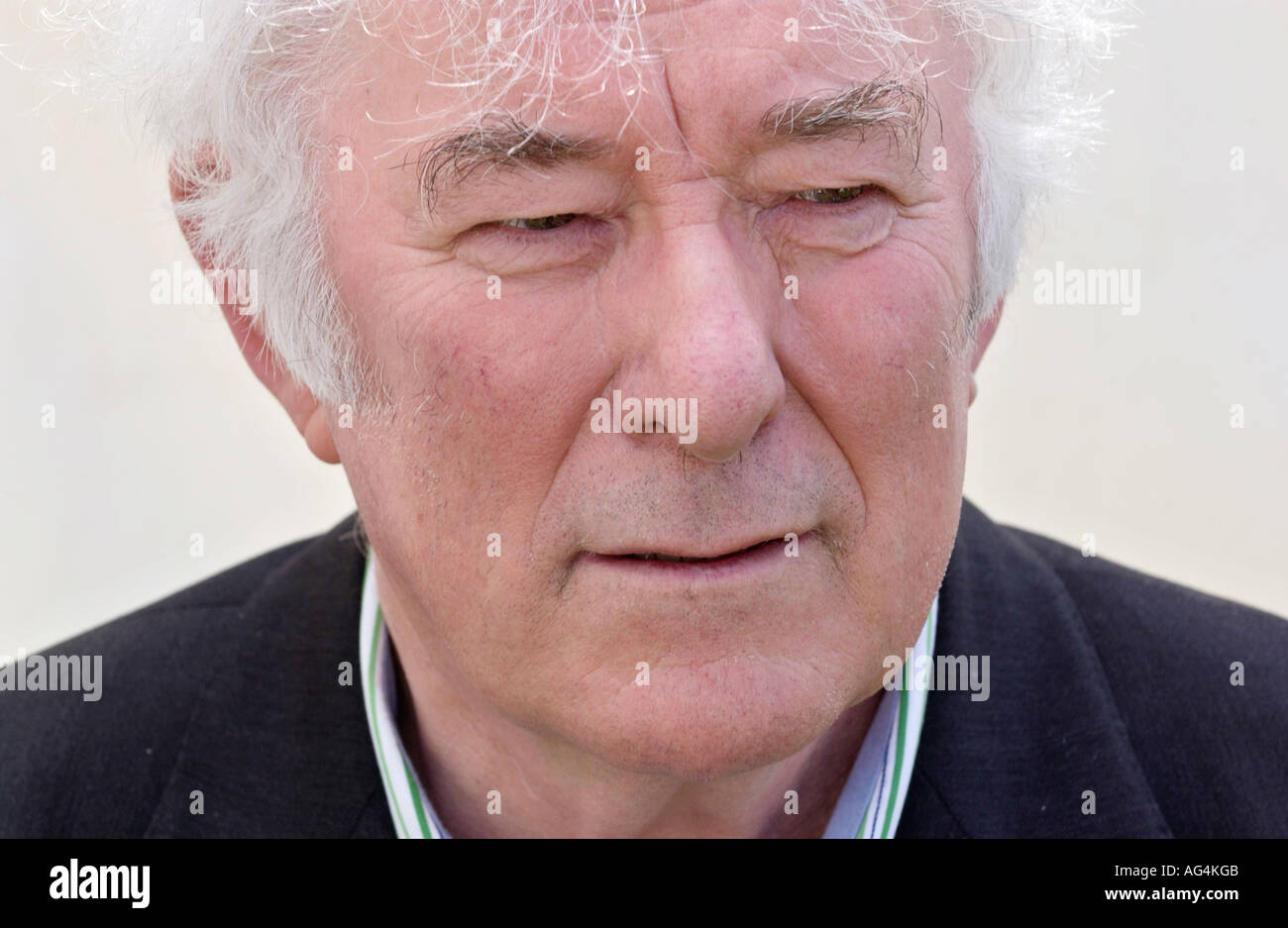Seamus Heaney guardian Seamus Heaney guardian