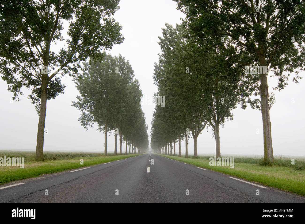 Long Straight Road with trees Stock Photo, Royalty Free Image ... for Straight Road With Trees
70ref Long Straight Road with trees Stock Photo, Royalty Free Image ... for Straight Road With Trees
70ref