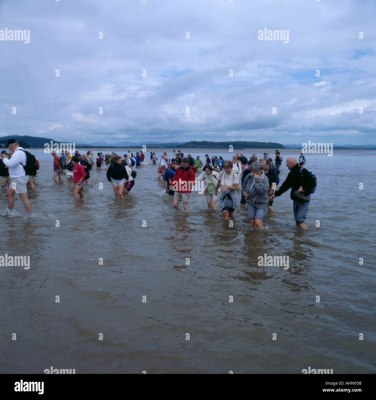 Group Of Walkers Crossing The Main Channel Of The River Kent Morecambe